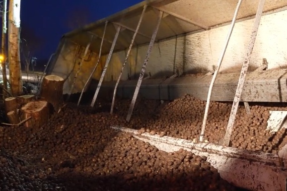 Nederlandse vrachtwagen vol aardappelen kantelt in Duitsland