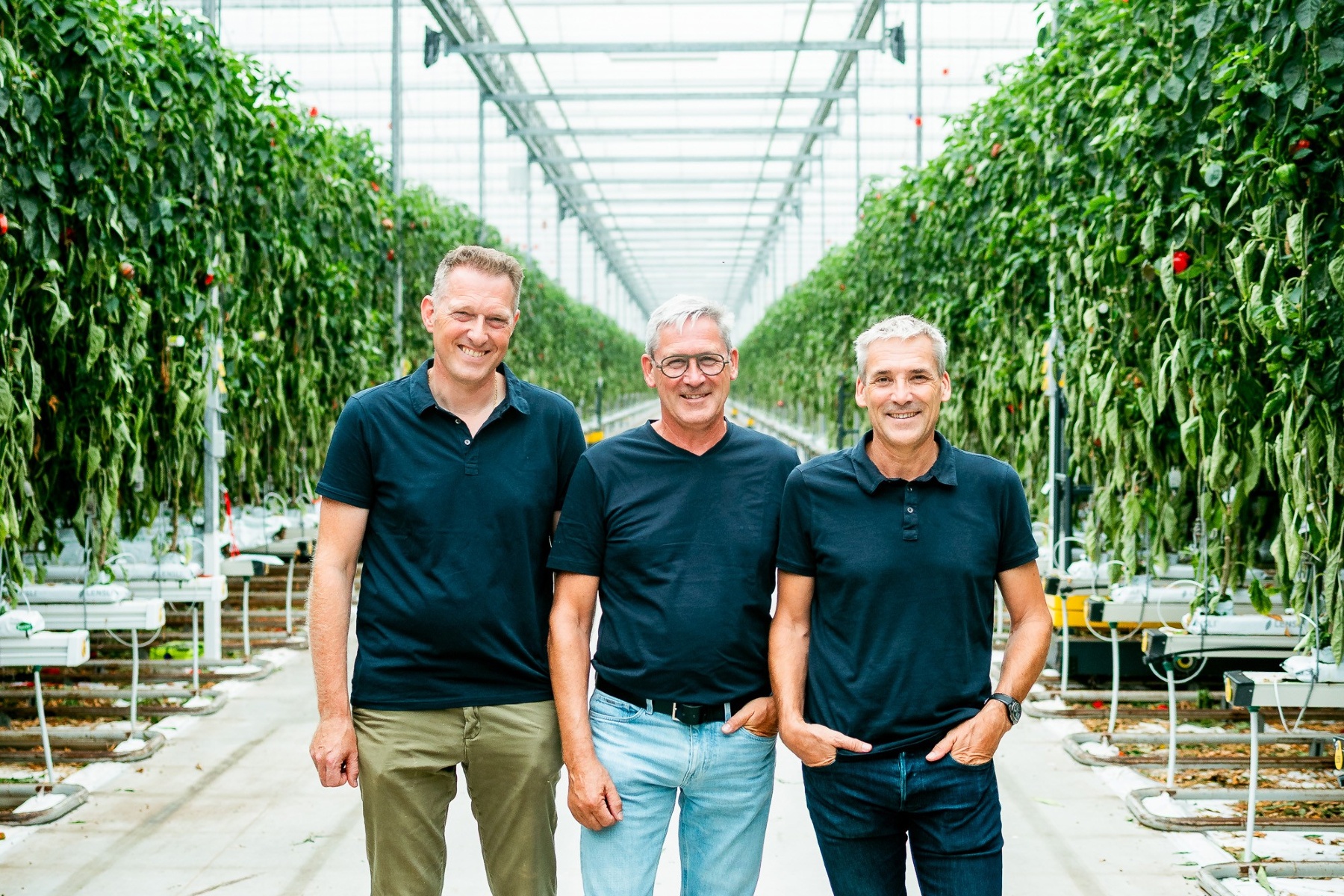 Belgisch paprikaseizoen afgetrapt met eerste groene paprika's