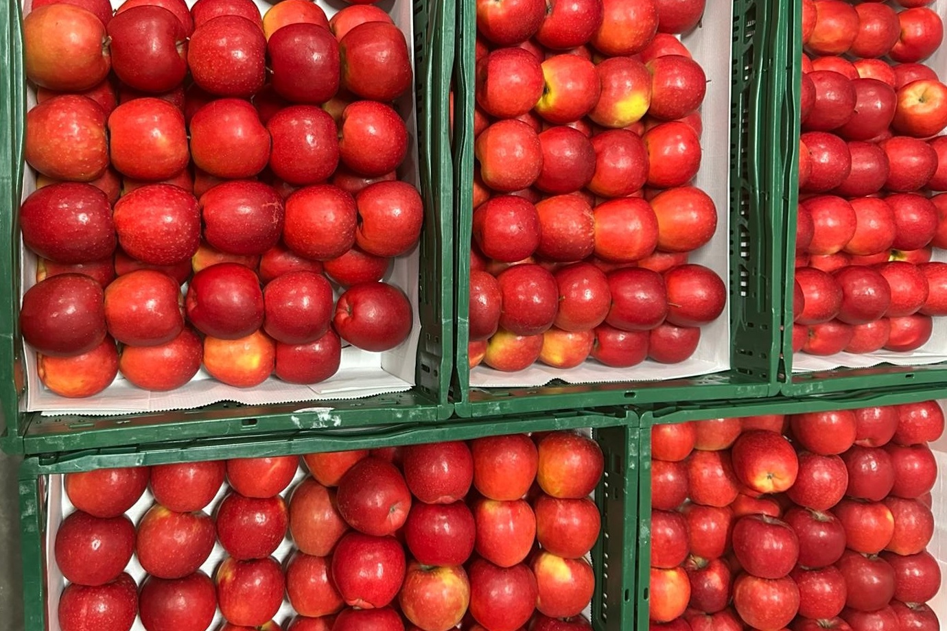 "Eerder met Natyra door grotere volumes, maar een goede appel laat je niet liggen"