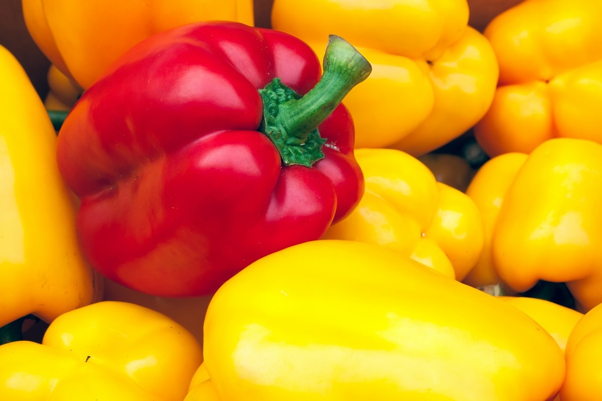 Consumenten accepteren ‘imperfecte’ groenten en fruit