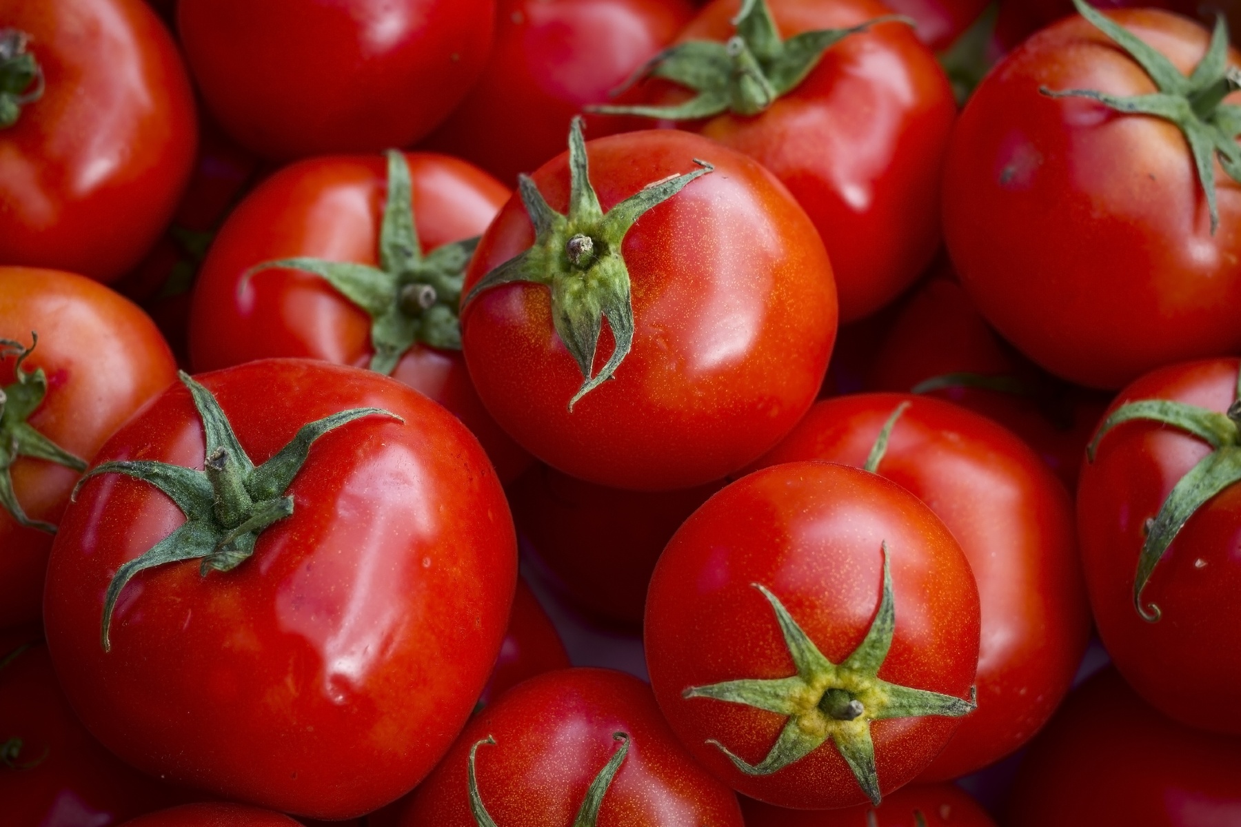 Zware regen in Portugal en Spanje intenser geworden door klimaatverandering