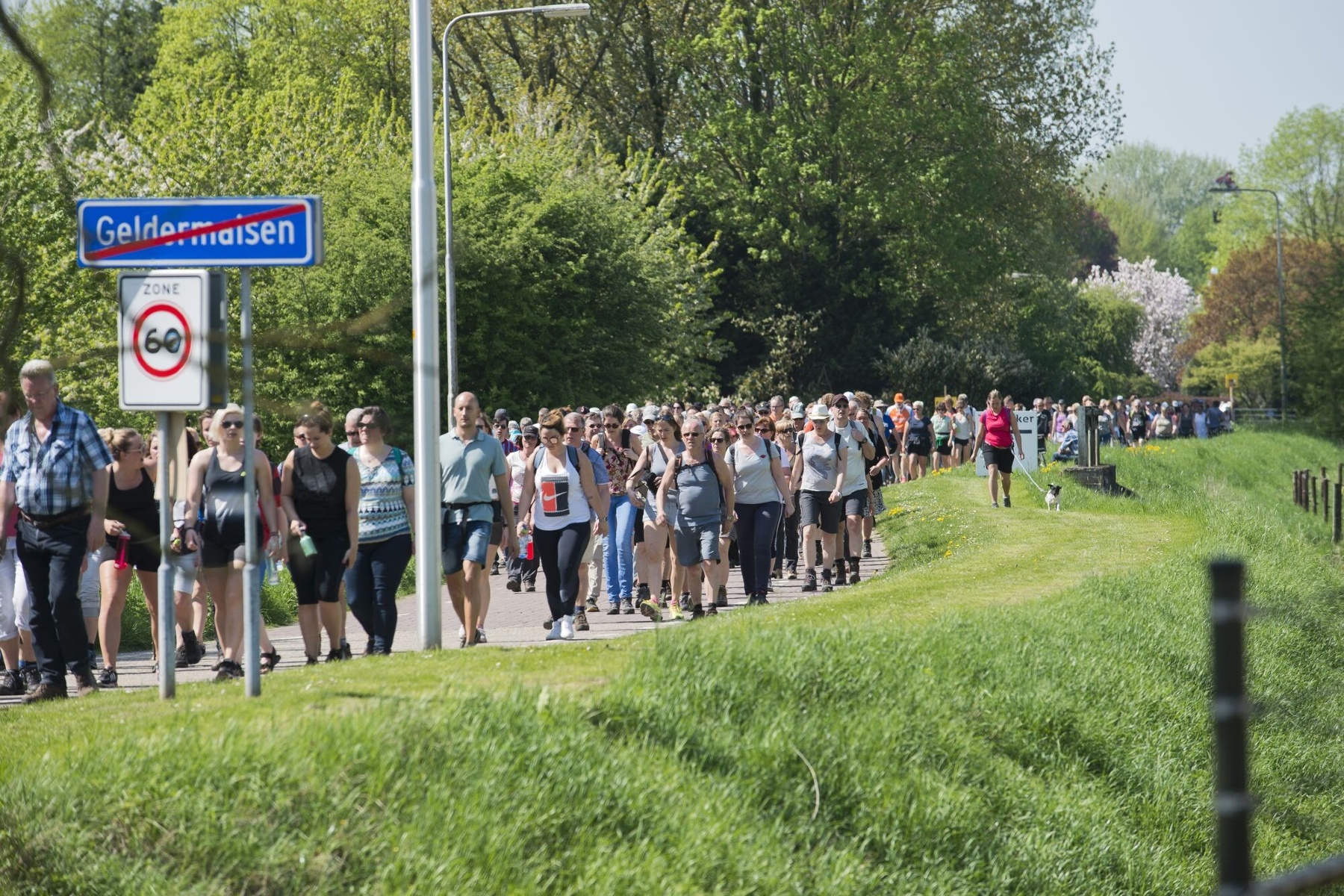 Betuwse Bloesemtocht keert na zeven jaar terug bij FruitMasters