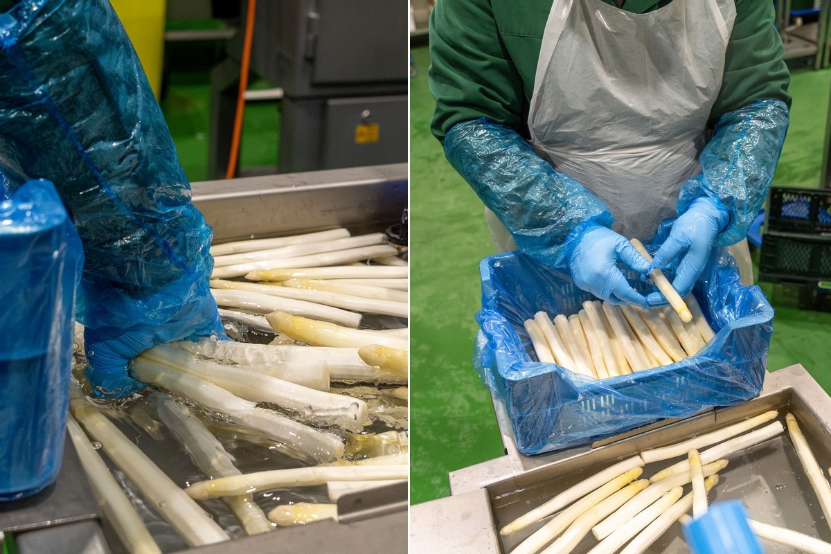 "Personeelsproblemen in horeca zorgt dat nood aan ondersteuning voor de keuken hoog blijft"