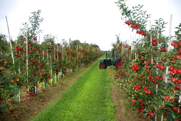 Europese Rekenkamer is kritisch over effect van innovatieprogramma EIP-AGRI