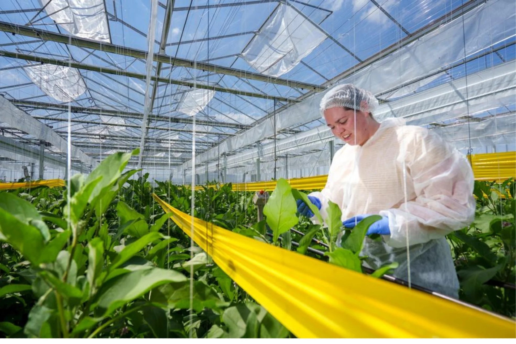 Mkb'ers kunnen weer DHI-subsidie aanvragen