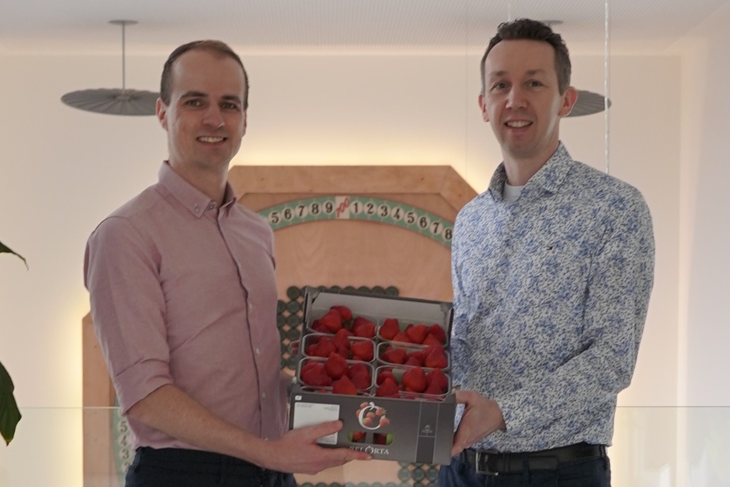 Eerste Belgische aardbeien markeren start nieuw seizoen