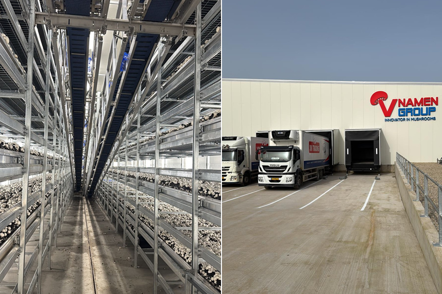 Van Namen Group centraliseert logistiek achter nieuwe innovatieve kwekerij