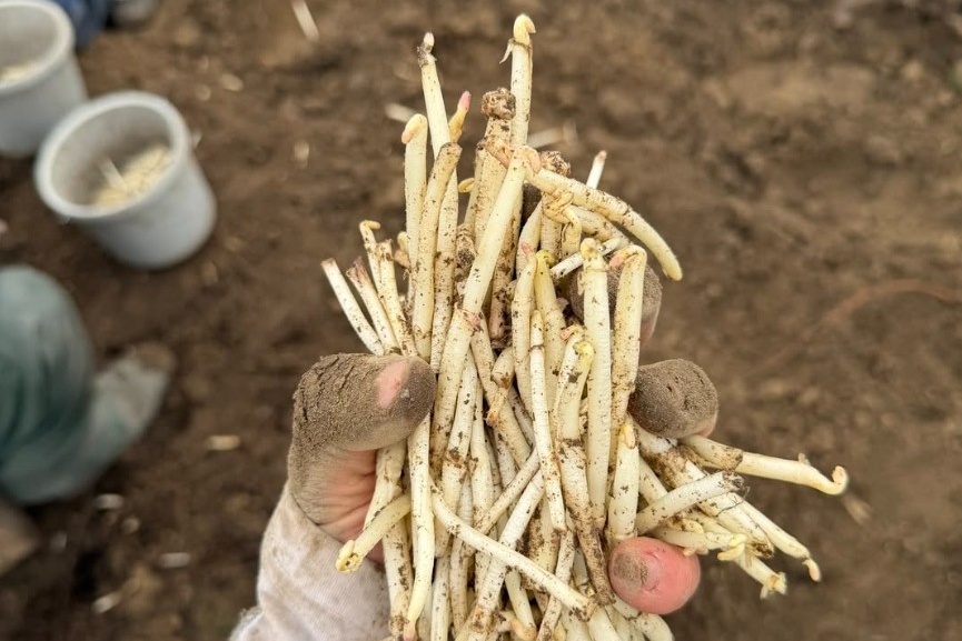 "Idealiter is het wat koeler, maar devies dit jaar is verkopen, verkopen, verkopen"