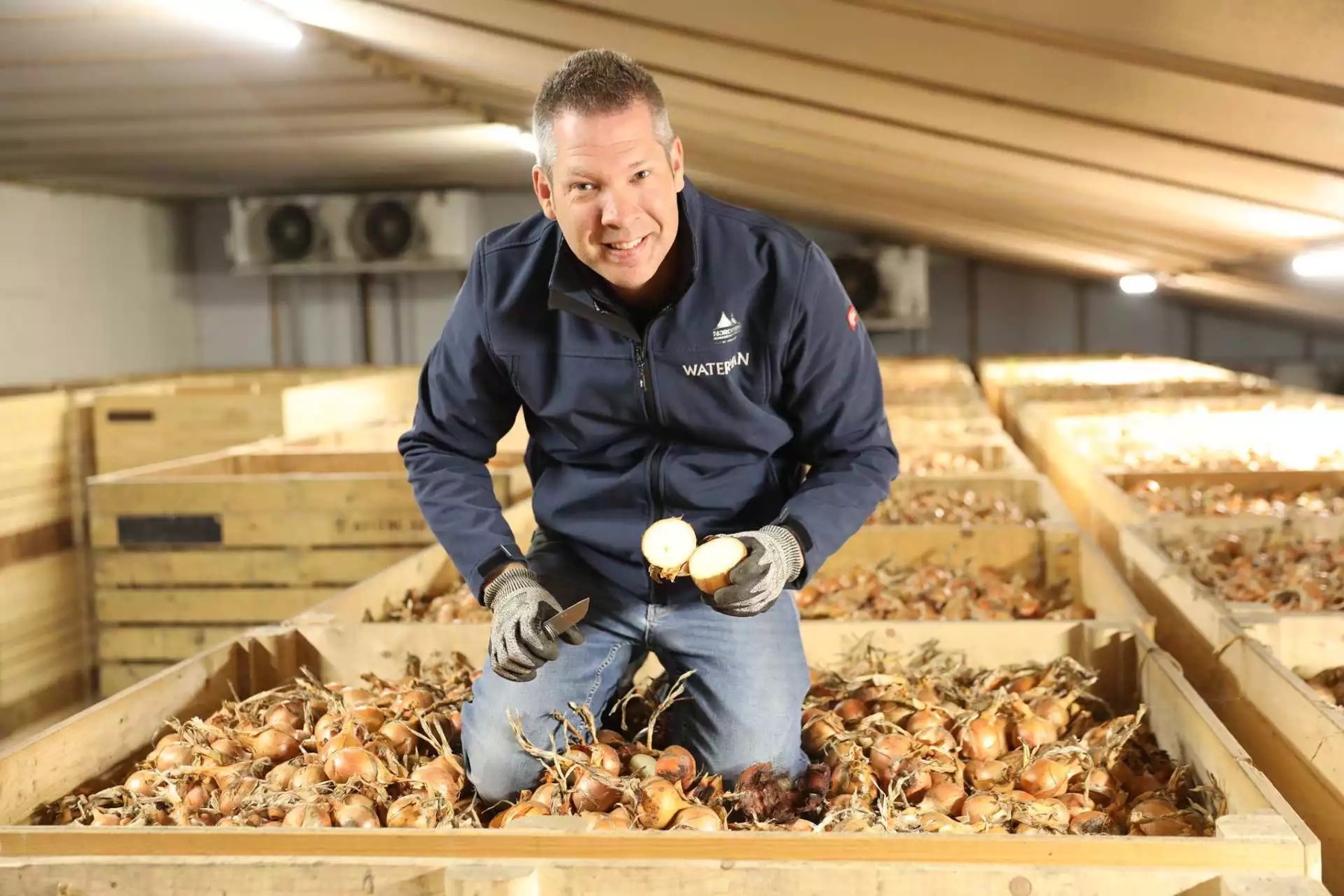 "Er zitten simpelweg nog veel gele uien in de bewaring en dat zet de markt onder druk"
