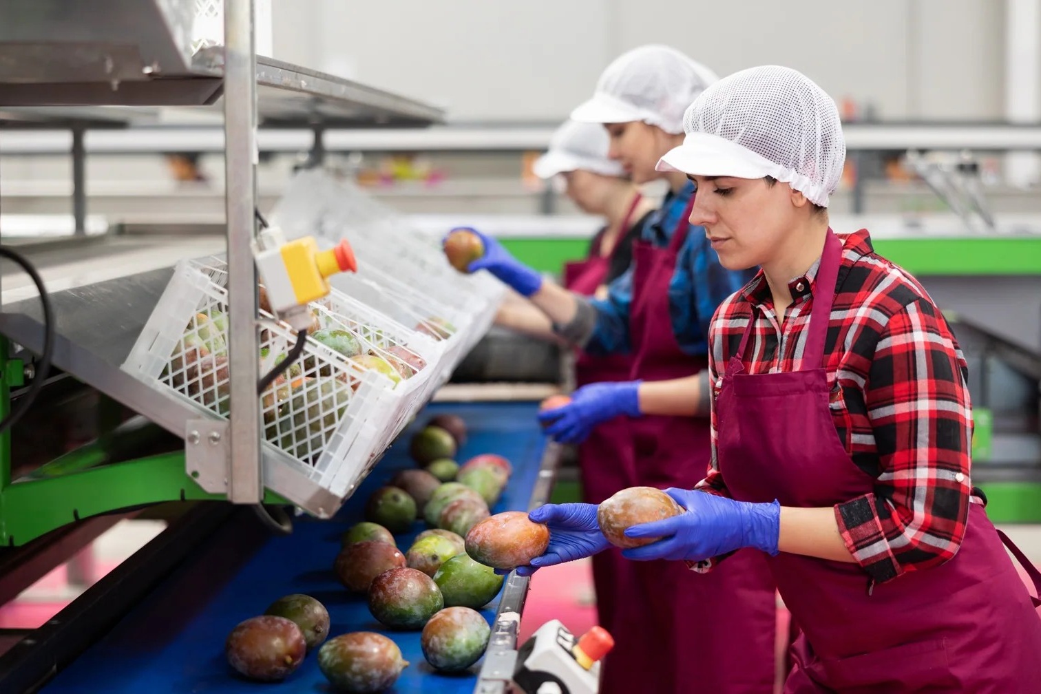 "Er is toekomst voor Nederlandse AGF-handelsbedrijven, maar ze moeten wel keuzes maken"