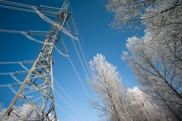 Verduurzaming Vlaamse fruittelers vertraagd door netcongestie