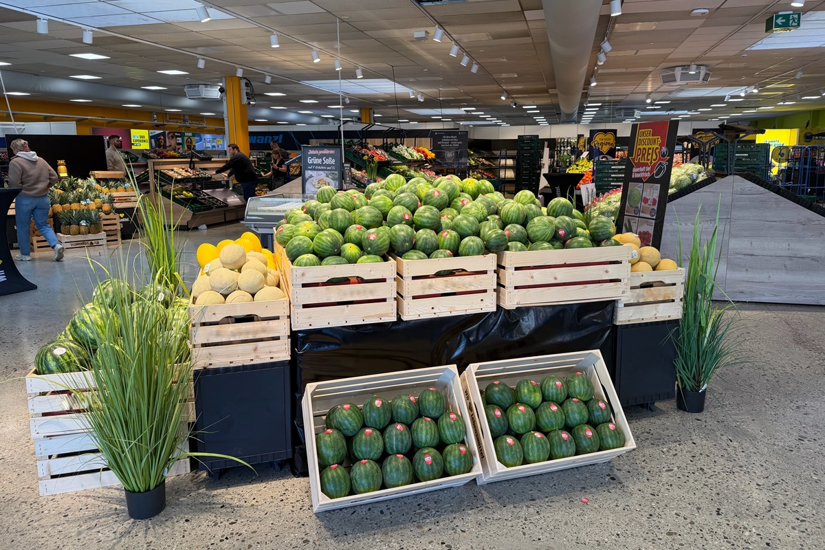 Сезон коста-риканских дынь начался и завершится успешно