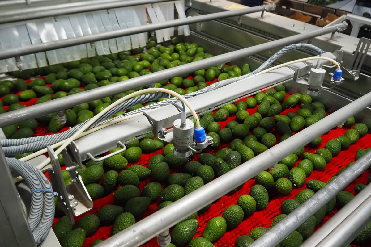 Fruit langer vers en groente snel verwerkt