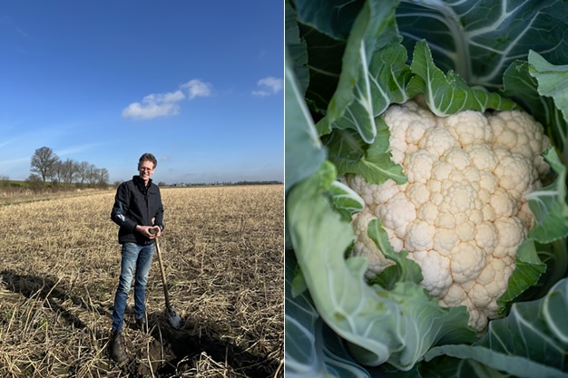 Hoe Jan-Willem Bakker de biologische bloemkoolteelt toekomstbestendig maakt