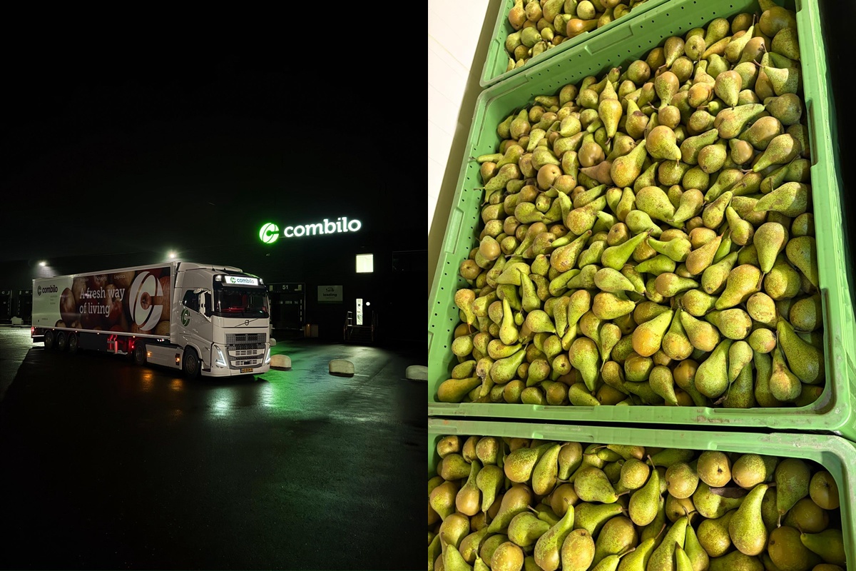 Качество диктует цены на рынке фруктов