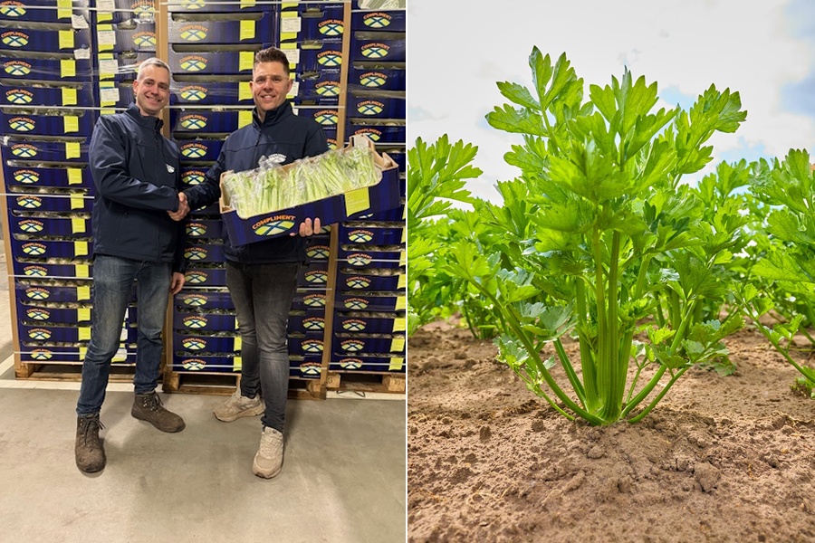 Tuinbouwbedrijf Kouwenberg sluit zich aan bij Compliment