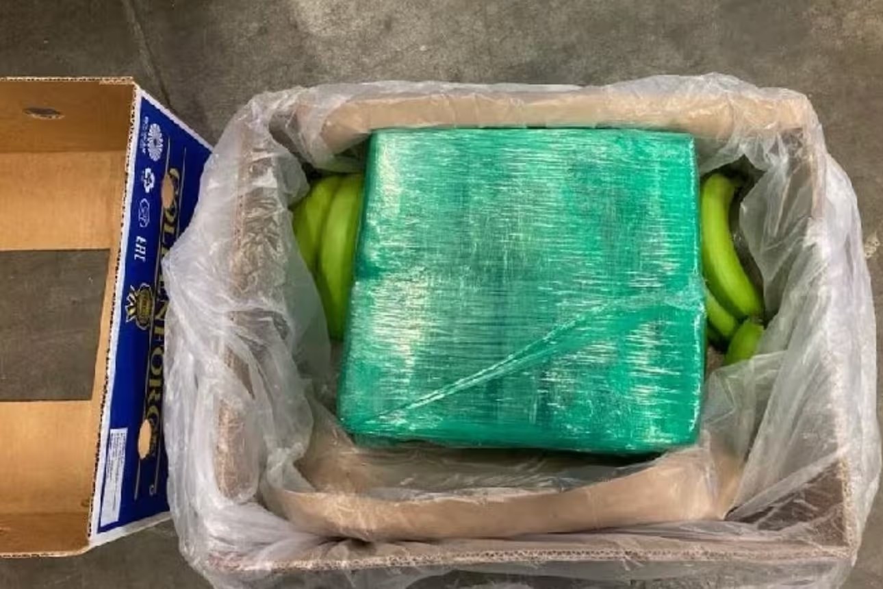 OM eist tot 12 jaar cel voor grootschalige cocaïne-invoer tussen bananen