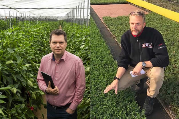 Испанские поставщики: перспективы для экспорта