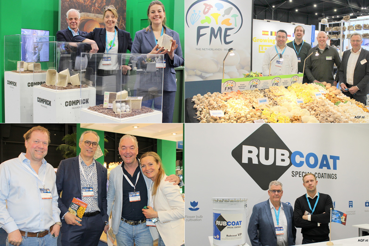 Fotoreportage Internationale Champignondagen