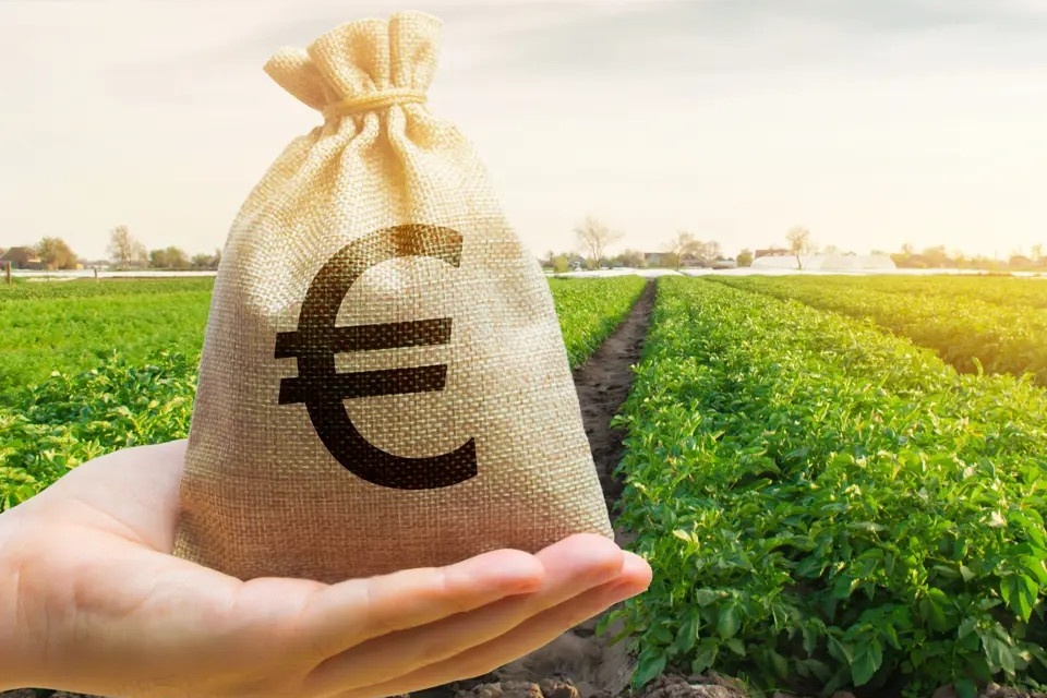 Lagere uitbetalingsprijs voor pootaardappelen bij Agrico na moeilijk marktjaar