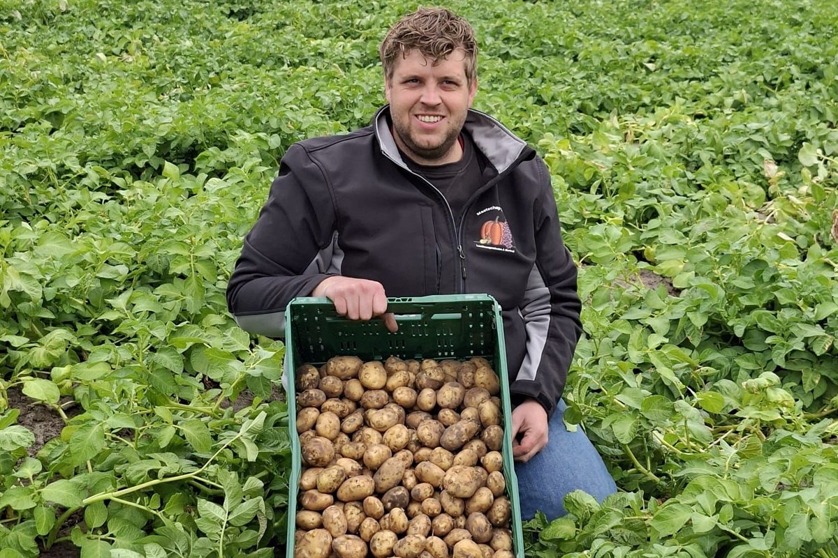 Eerste Frieslanders van de koude grond uit Ouddorp