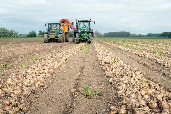 50 Vlaamse landbouwers openen deuren tijdens regenachtige Dag van de Landbouw