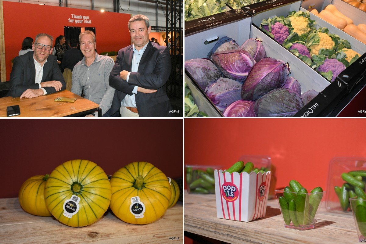 Gebruiksgemak, specialties en seizoensverpakkingen op Product Show BelOrta