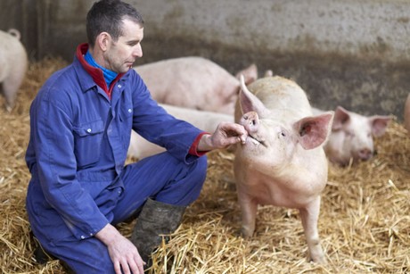 Politieke partijen belgie 2019