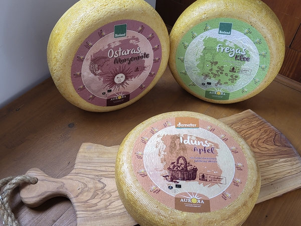 Aurora introduceert roodflora-kaas in Nederland - BioJournaal.nl