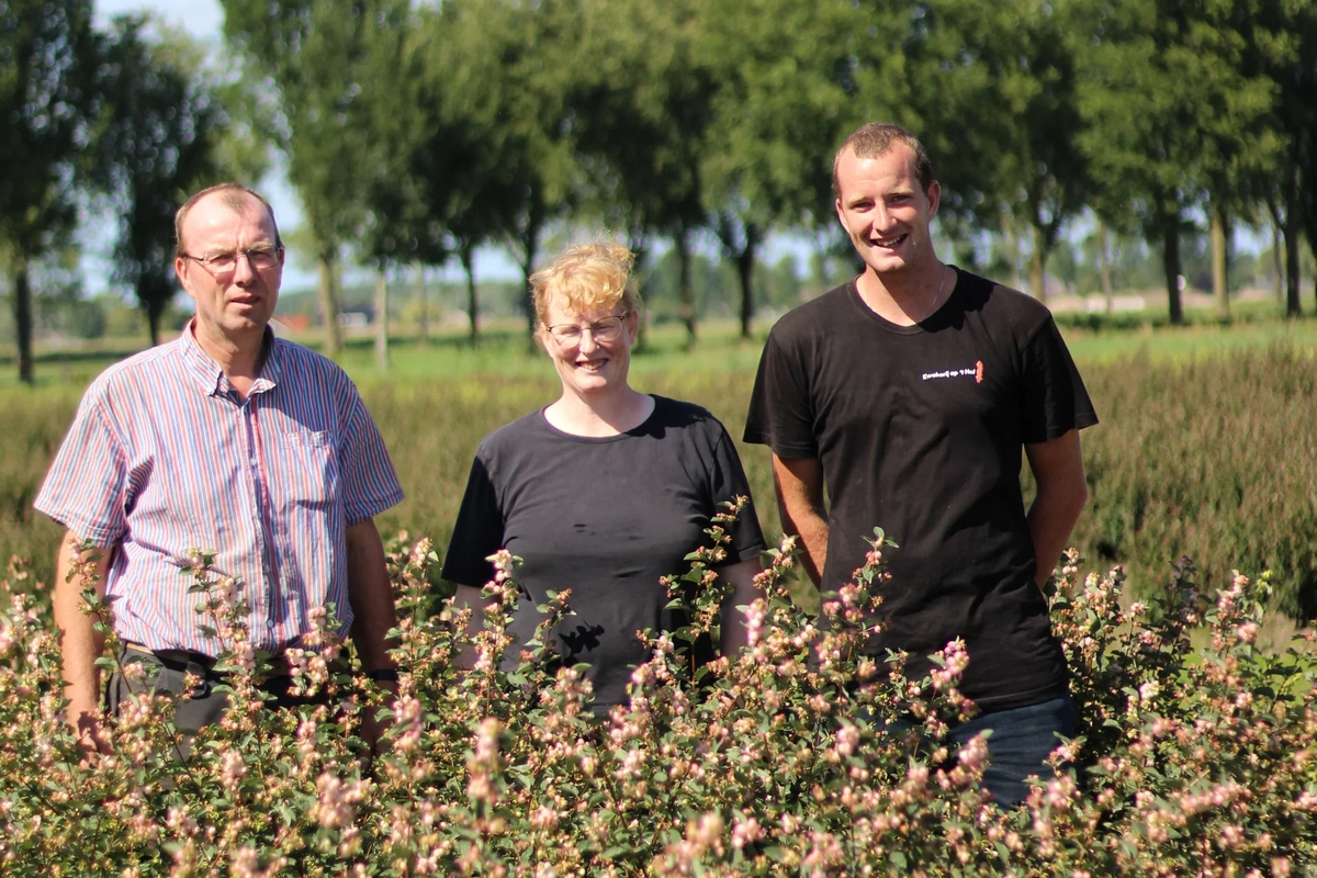 Bijeenkomst snijbloemen Biologische Sierteelt Nederland: 28 juni in Nederhemert