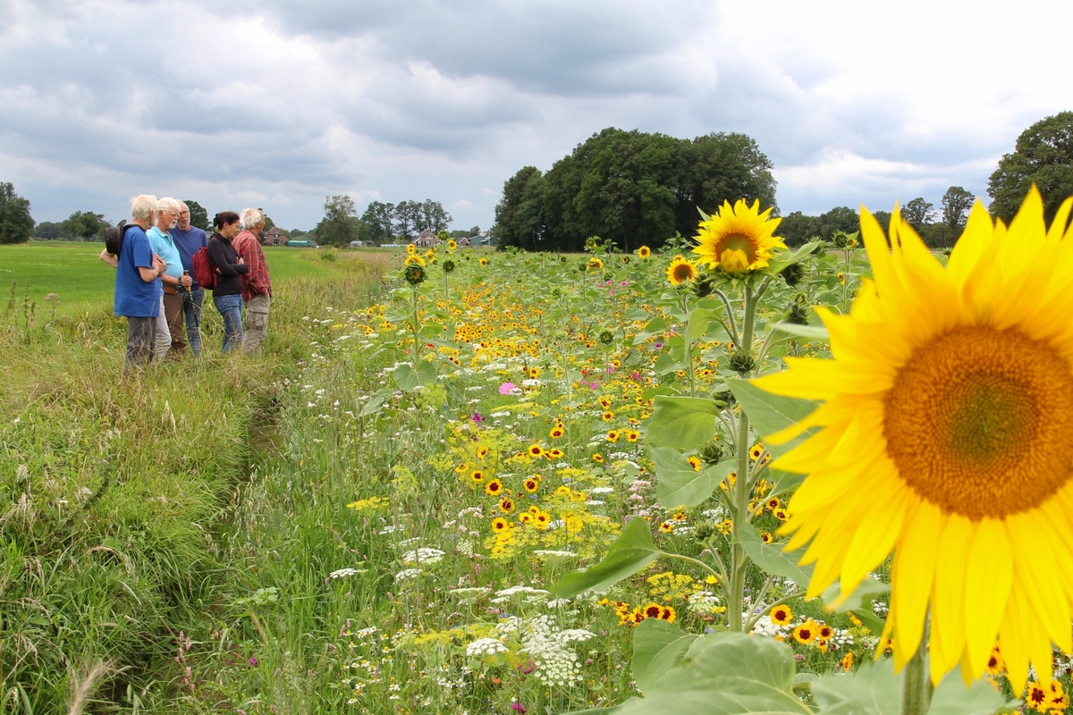 Open dag bij Land van Ons in Empe: 6 juli