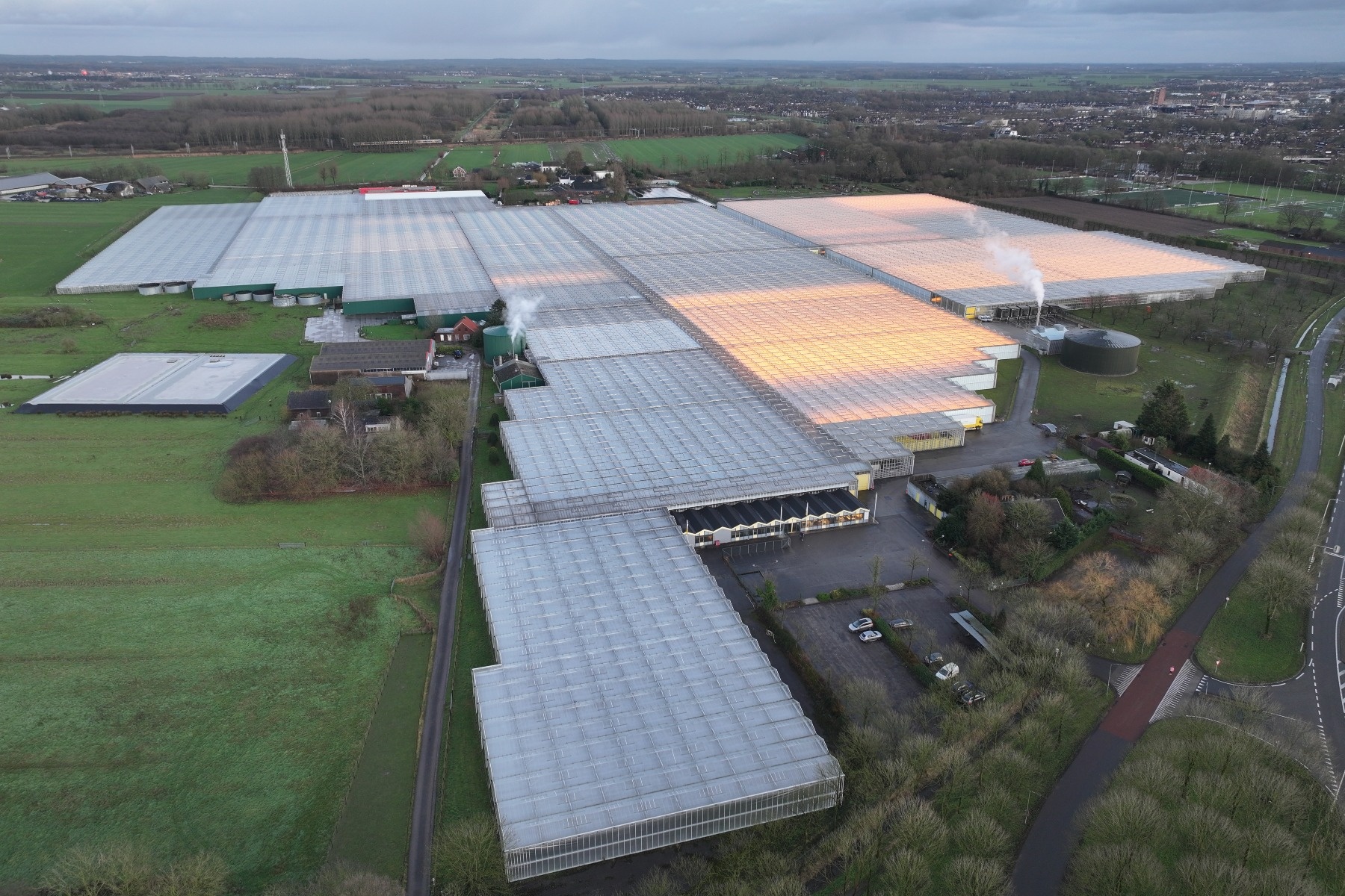 Weer geen faillissement noch duidelijkheid over Plantenkwekerij Jongerius