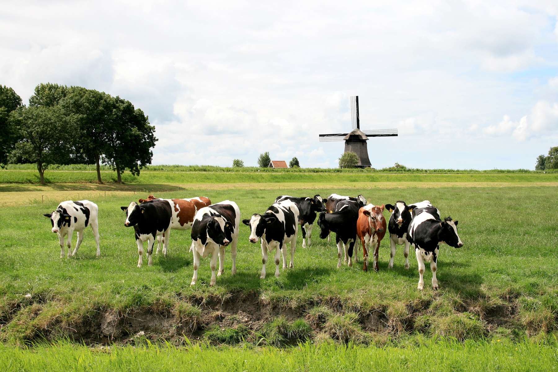 "Akkerbouwer en melkveehouder: Samen verbeteren we de kringloop"