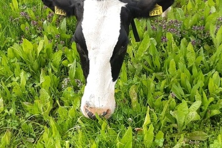 Donatie van 50.000 euro aan boeren die willen verduurzamen