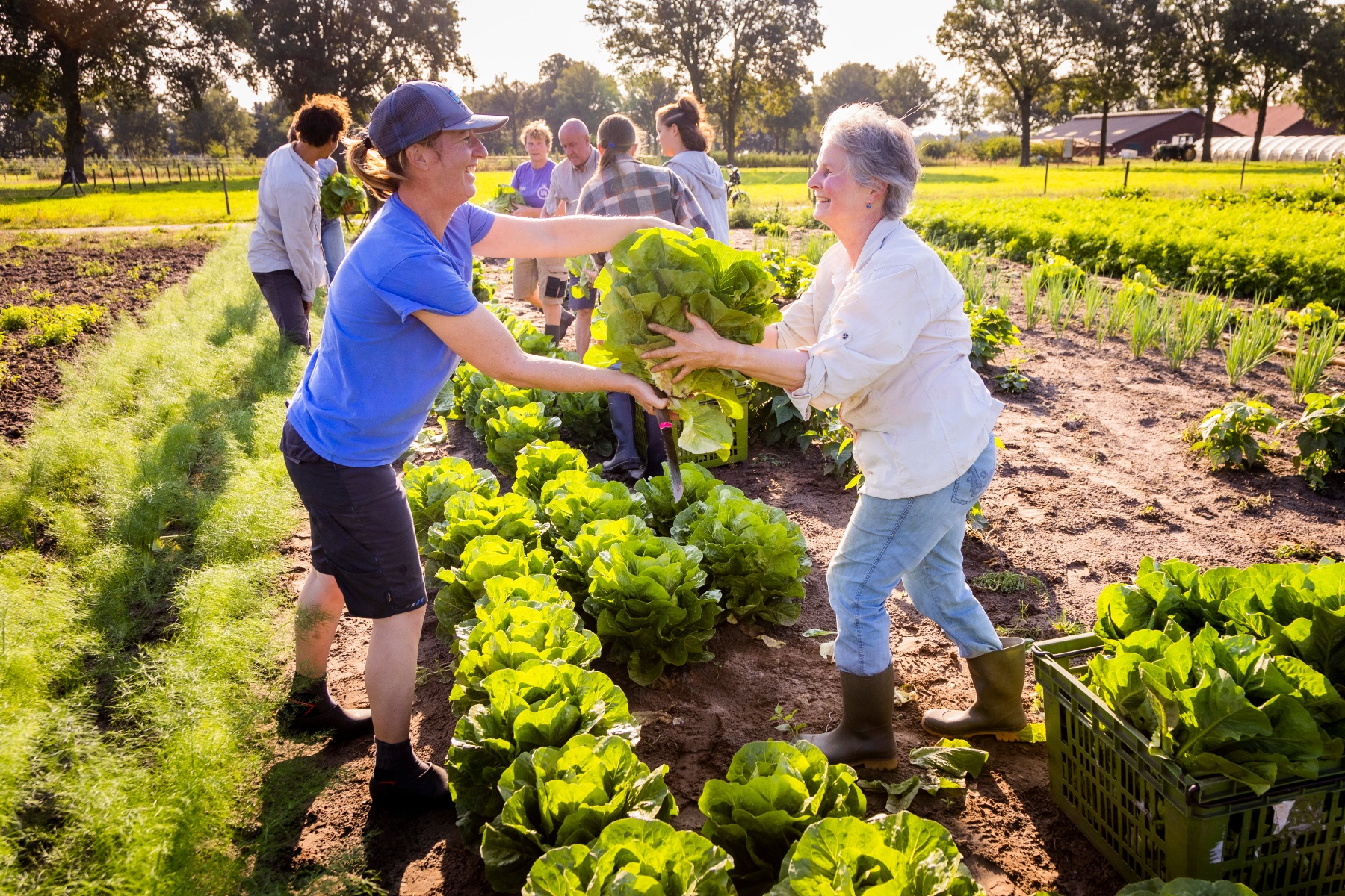 “Samen Toekomst Boeren” in de praktijk