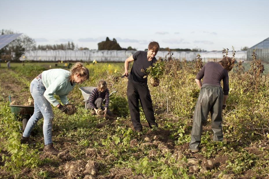 Biologische landbouwbedrijven stellen stageplekken beschikbaar voor studenten