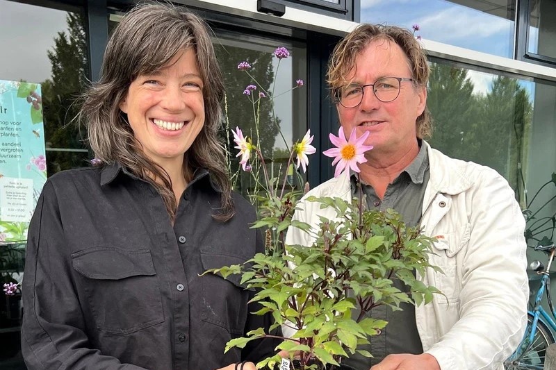 Nieuwe biologische dahlia vernoemd naar natuurstichting