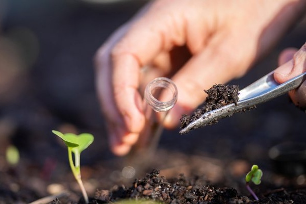 "Praktijkvoorbeelden tonen de weg naar rendabel anders boeren"