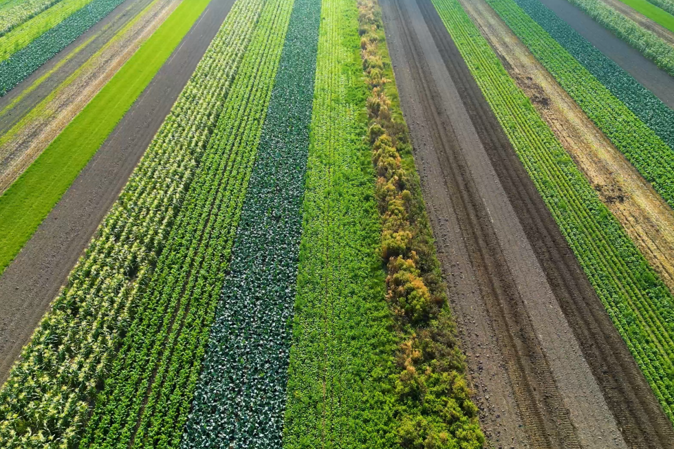 Bodemkwaliteit centraal tijdens Bio Bodemdag voor biologische telers