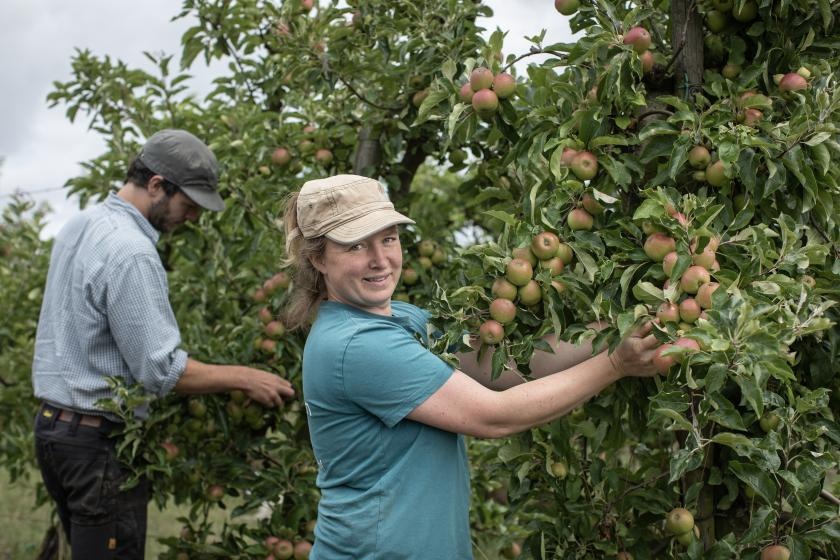 "De kracht van samenwerking"
