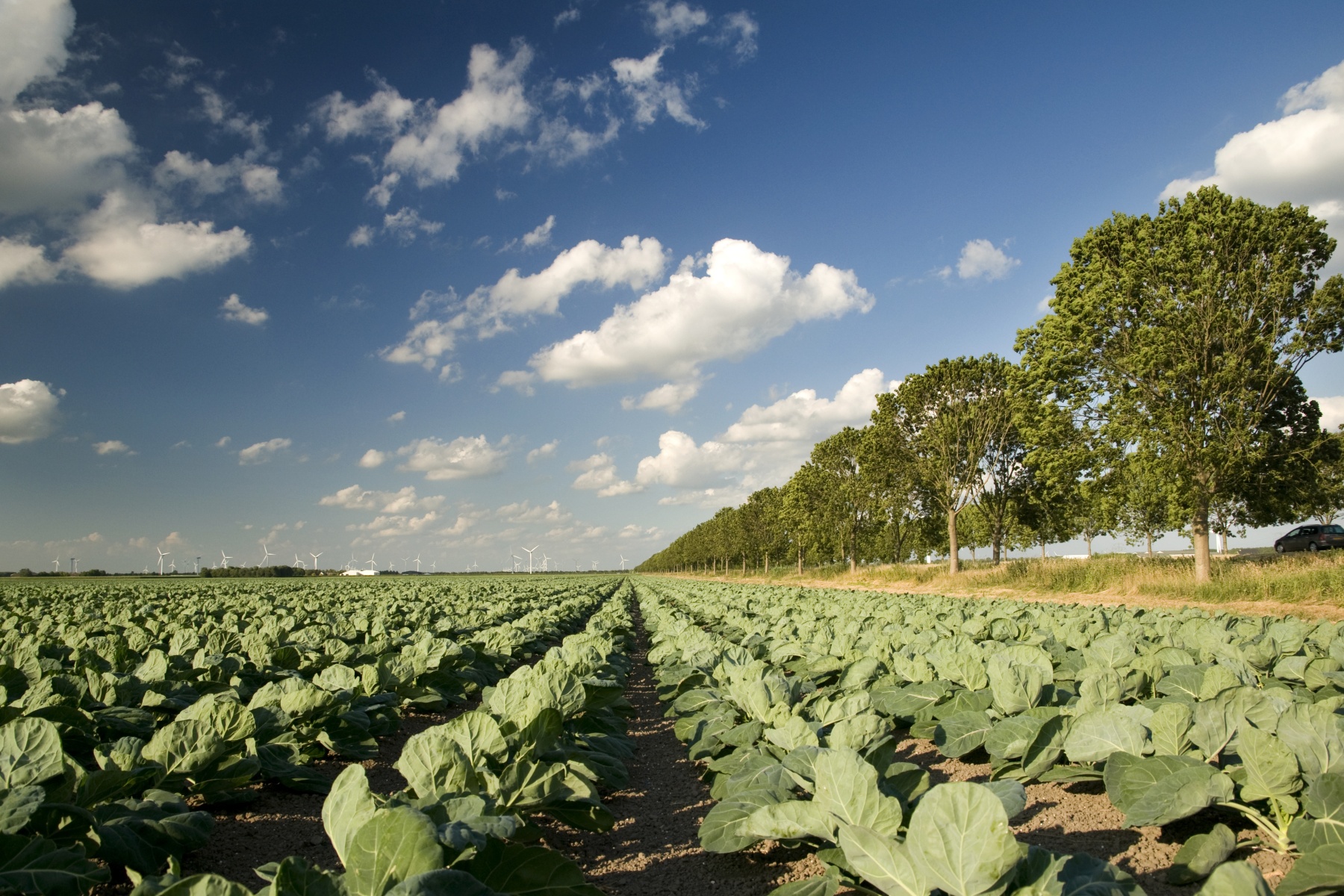 Land van Ons waarschuwt voor gevolgen tweedeling landbouwgebieden