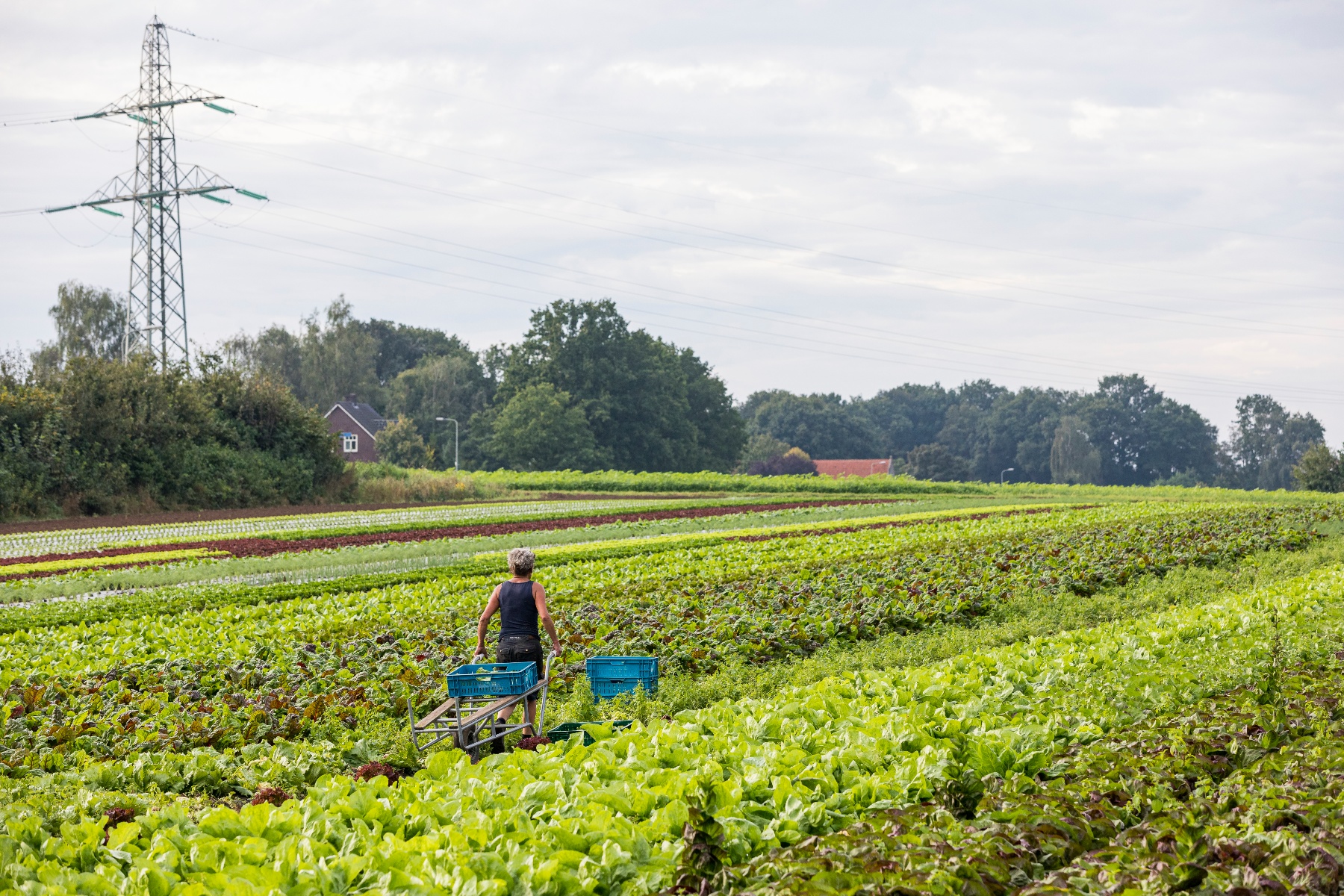 Meer steun biologische landbouw door provinciale samenwerking