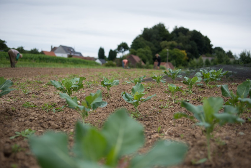 BioForum ondertekent open brief die oproept tot beter Europees beleid rond pesticiden