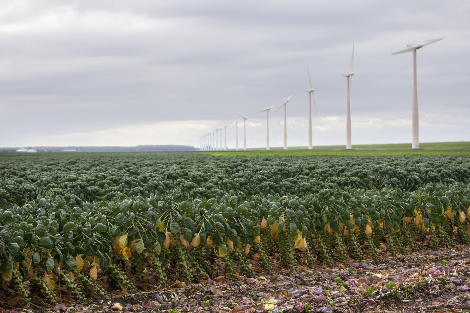 Ideeën gezocht voor biologisch onderzoek