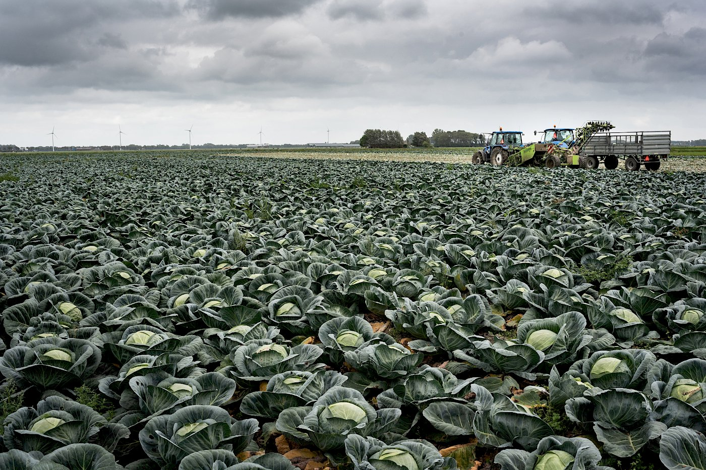 “Overstap naar biologisch is niet alleen revolutie, maar ook een stukje evolutie”