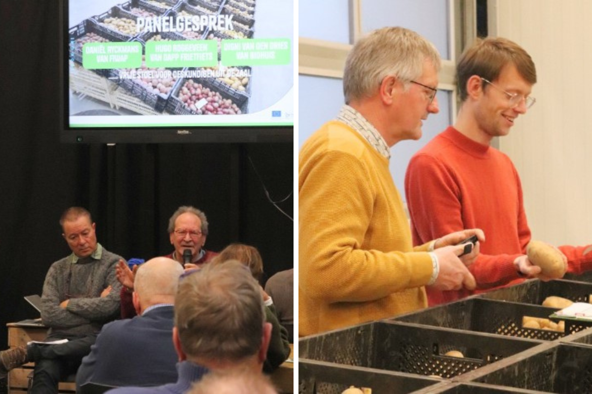 "Weerbaarheid in aardappelteelt is belangrijk, maar weerbaarheid in de afzet net zo goed"