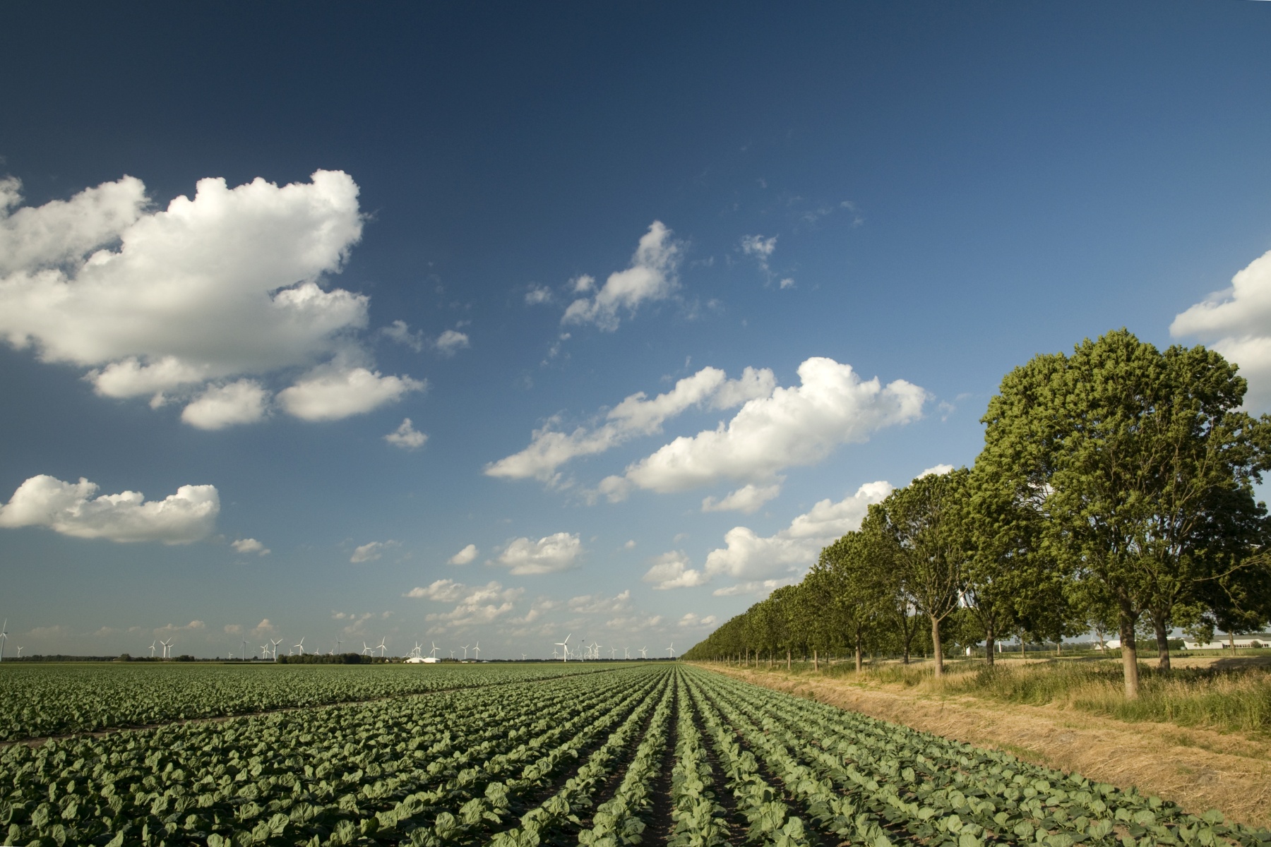 Gemeenschappelijk Landbouwbeleid verandert