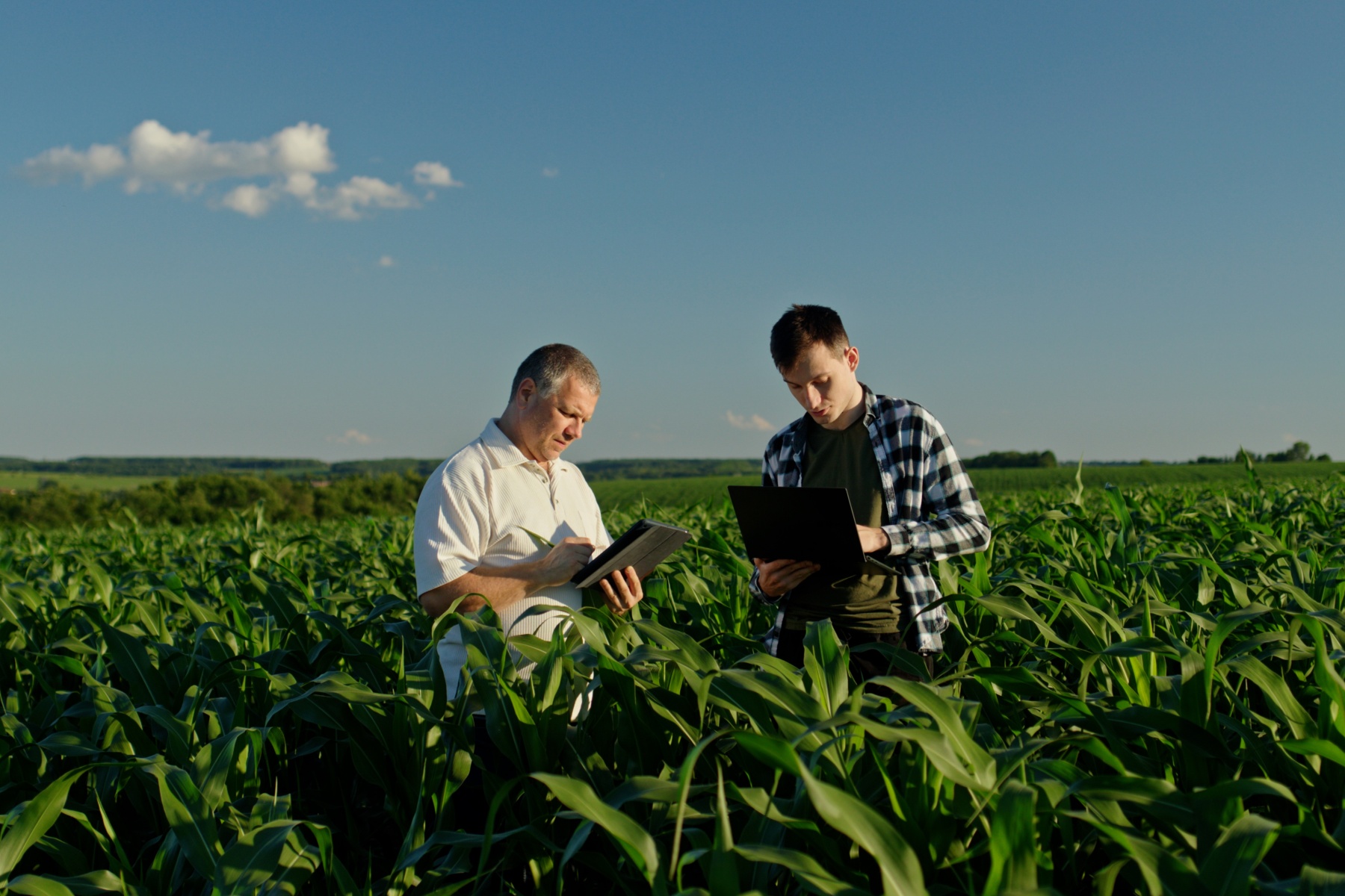 "Versoepeling EU-duurzaamheidsregels: minder druk, meer kansen voor voedingsbedrijven"