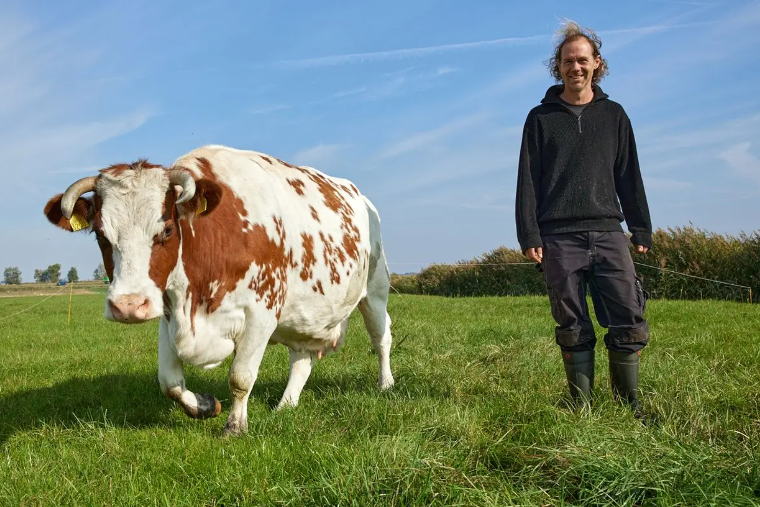 Impactrapport Aardpeer belicht rol van grondfinanciering in natuurinclusieve landbouw