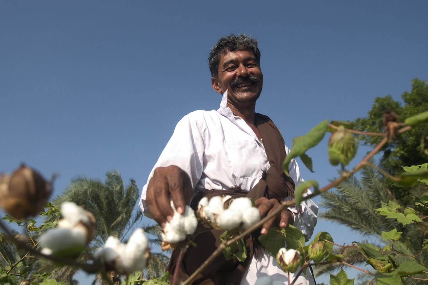 Yumeko wint Social Impact Award met Open Organic Cotton Chain